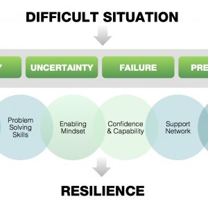 Expanding Leadership, Resilience Model, Ernesto Moreno